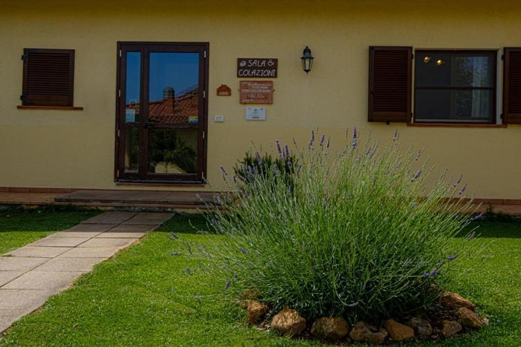 Agriturismo La Fata 格罗塞托 外观 照片