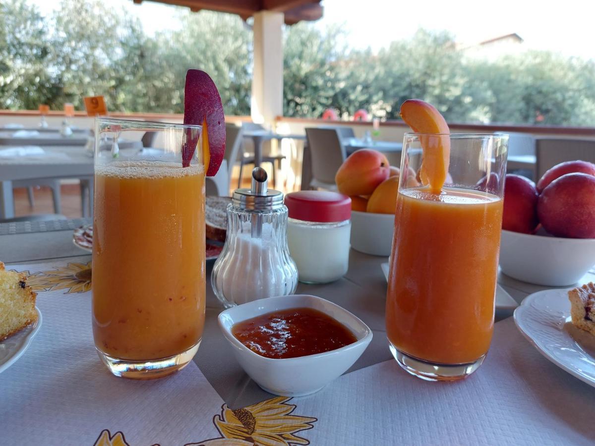 Agriturismo La Fata 格罗塞托 外观 照片